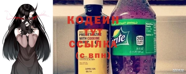 ГАЛЛЮЦИНОГЕННЫЕ ГРИБЫ Инсар