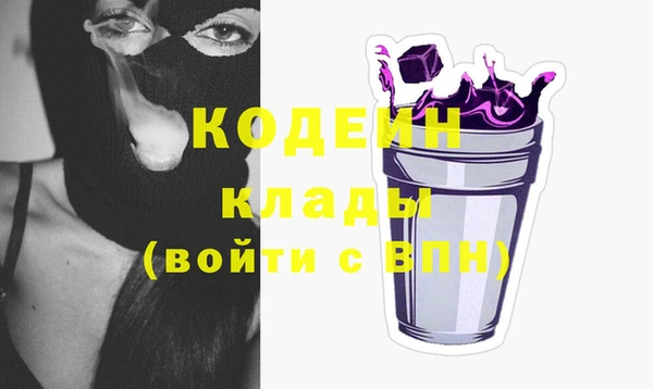 ГАЛЛЮЦИНОГЕННЫЕ ГРИБЫ Инсар