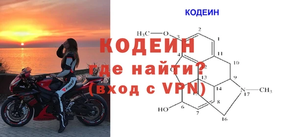 шишки Иннополис