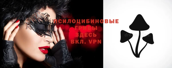 первитин Инта
