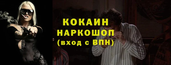 шишки Иннополис
