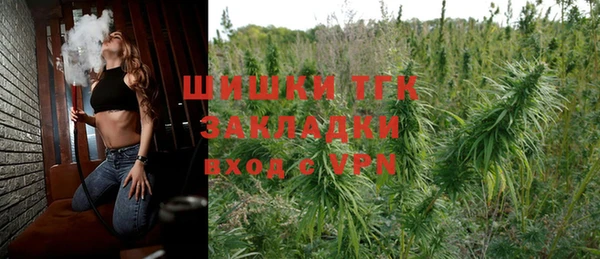 ГАЛЛЮЦИНОГЕННЫЕ ГРИБЫ Инсар