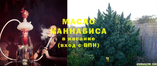 ГАЛЛЮЦИНОГЕННЫЕ ГРИБЫ Инсар