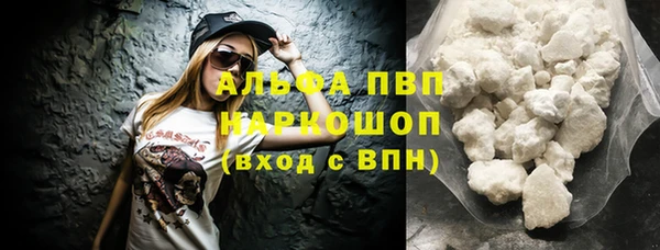 ГАЛЛЮЦИНОГЕННЫЕ ГРИБЫ Инсар
