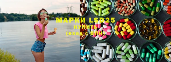 ГАЛЛЮЦИНОГЕННЫЕ ГРИБЫ Инсар