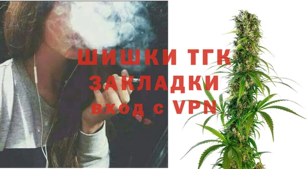 ГАЛЛЮЦИНОГЕННЫЕ ГРИБЫ Инсар