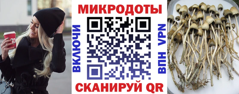 Галлюциногенные грибы мицелий Купить где Болхов
